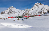 Click Here to see the photo!