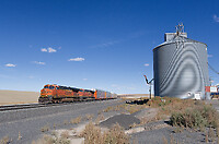 Click Here to see the photo!