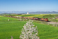 Click Here to see the photo!