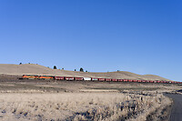 Click Here to see the photo!