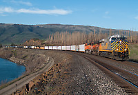 Click Here to see the photo!