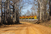 Click Here to see the photo!