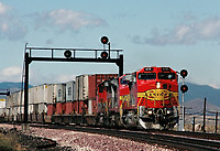 Click Here to see the photo!