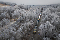 Click Here to see the photo!