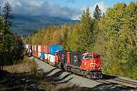 Click Here to see the photo!