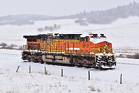 Click Here to see the photo!