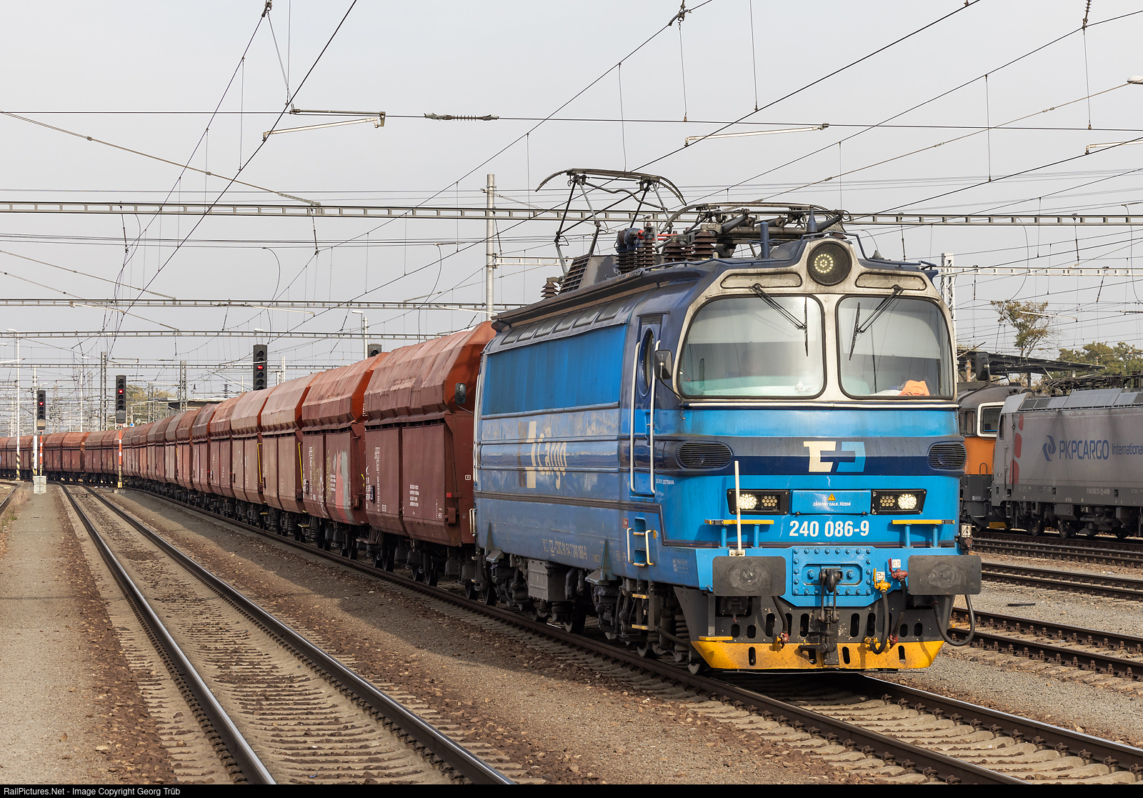 7679-1635776893-jpg