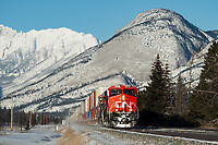 Click Here to see the photo!