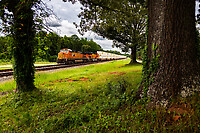 Click Here to see the photo!