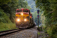 Click Here to see the photo!