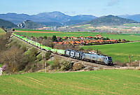 Click Here to see the photo!