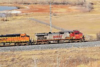 Click Here to see the photo!