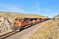 Click Here to see the photo!