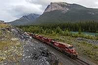 Click Here to see the photo!