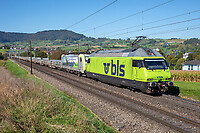 Click Here to see the photo!