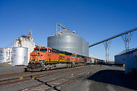 Click Here to see the photo!