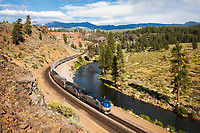 Click Here to see the photo!