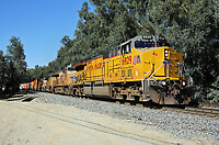 Click Here to see the photo!