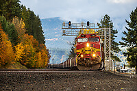 Click Here to see the photo!