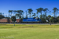 Click Here to see the photo!