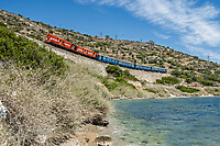 Click Here to see the photo!