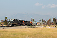 Click Here to see the photo!