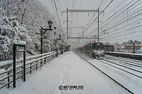 Click Here to see the photo!