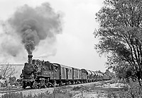 Click Here to see the photo!