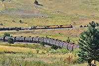 Click Here to see the photo!