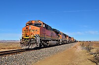 Click Here to see the photo!