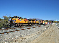 Click Here to see the photo!