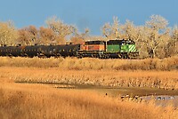 Click Here to see the photo!