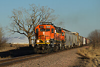 Click Here to see the photo!