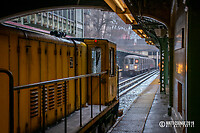 Click Here to see the photo!