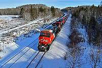 Click Here to see the photo!