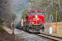 Click Here to see the photo!