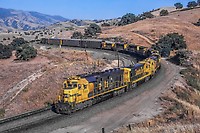 Click Here to see the photo!