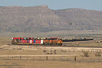 Click Here to see the photo!