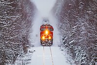 Click Here to see the photo!