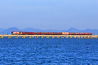 Click Here to see the photo!