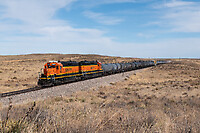 Click Here to see the photo!