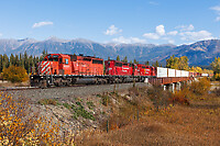 Click Here to see the photo!