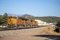 Click Here to see the photo!