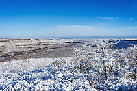 Click Here to see the photo!