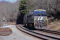 Click Here to see the photo!