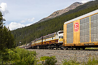 Click Here to see the photo!