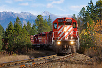 Click Here to see the photo!