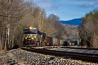 Click Here to see the photo!