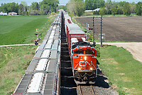 Click Here to see the photo!