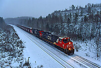 Click Here to see the photo!